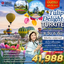TULIP (TUR-TD8D6N-TK) TURKEY TULIP DELIGHT (ตุรกี ดีไลท์ ทิวลิป) 8 DAYS 6 NIGHT BY TK