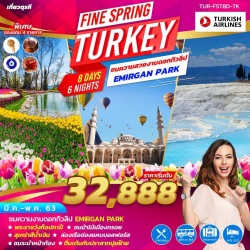 (TUR-FST8D-TK) FINE SPRING TURKEY 8 DAYS 6 NIGHT BY TK MAR-MAY 20 32888-39888 (ไปเช้า-กลับเย็น)
